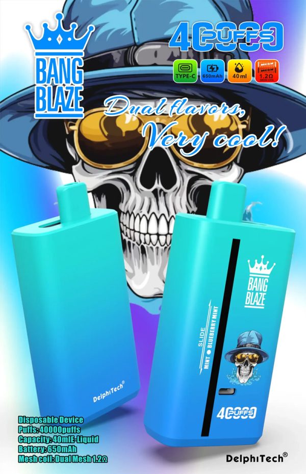 Bang Blaze 40000 Puffs 12 Flavors Disposable Vape - 40ml E-Liquid, 650mAh Battery, Type-C Charging - Image 5