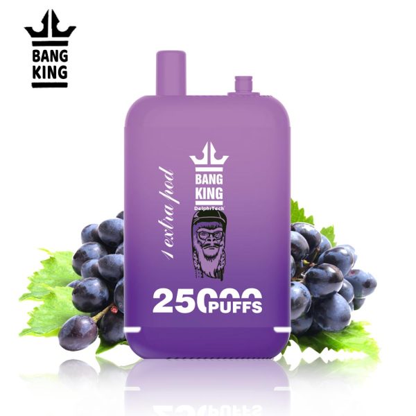 Bang King 25000 Puffs Dual Pods Disposable Vape - 12 Flavors | 650mAh Battery | Type-C Charging - Image 3