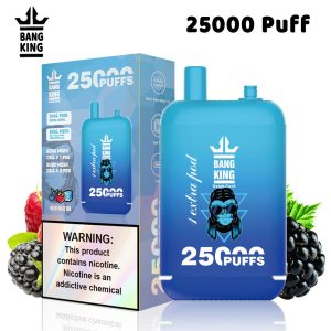 Bang King 25000 Puffs Dual Pods Disposable Vape - 12 Flavors | 650mAh Battery | Type-C Charging