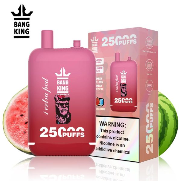 Bang King 25000 Puffs Dual Pods Disposable Vape - 12 Flavors | 650mAh Battery | Type-C Charging - Image 4