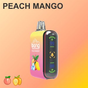 Bang Rocket 9000-18000 Disposable Vape Pod - 18000 Puffs, 12 Flavors, 650mAh Battery