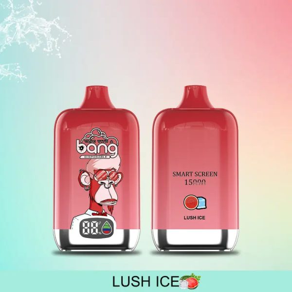 Bang Smart Screen 15000 Disposable Vape with 12 Flavors, 650mAh Battery, 25.0mL E-liquid, 15000 Puffs