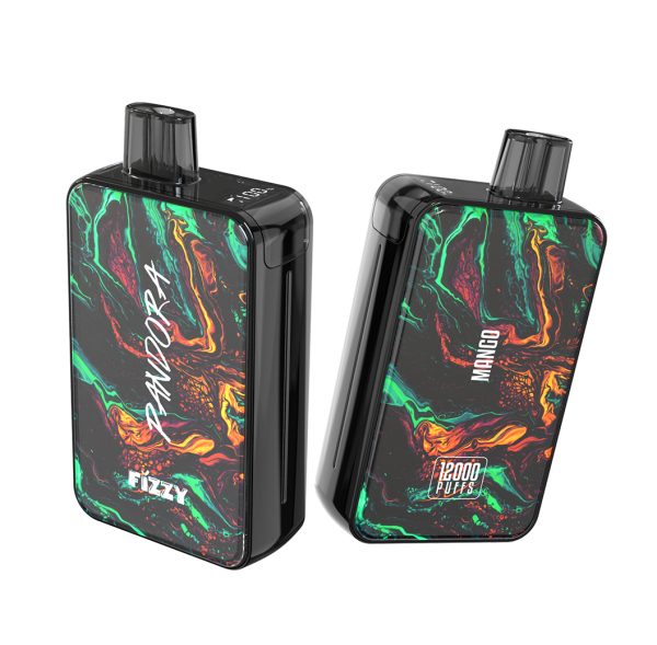FIZZY Pandora 12000 Puffs 2% 5% Bulk Buy - Low Nicotine LCD Screen Rechargeable Disposable Vapes Pen Wholesale - Image 2