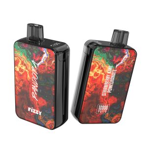 FIZZY Pandora 12000 Puffs 2% 5% Bulk Buy - Low Nicotine LCD Screen Rechargeable Disposable Vapes Pen Wholesale