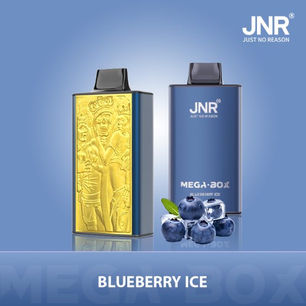 Jnr Mega Box 25000 – 25000 Puffs, 850mAh Battery, 30ml E-liquid, Dual Mesh Coil, Type-C Quick Charge - Image 2