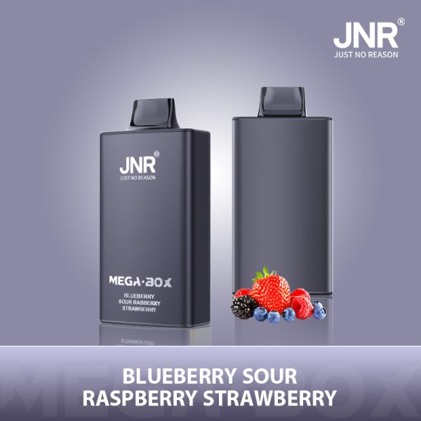 Jnr Mega Box 25000 – 25000 Puffs, 850mAh Battery, 30ml E-liquid, Dual Mesh Coil, Type-C Quick Charge - Image 4