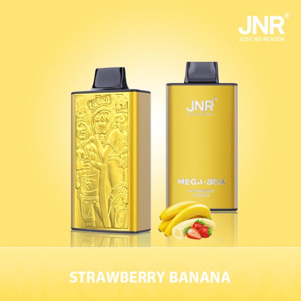 Jnr Mega Box 25000 – 25000 Puffs, 850mAh Battery, 30ml E-liquid, Dual Mesh Coil, Type-C Quick Charge - Image 5