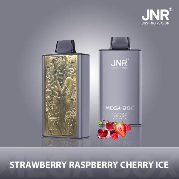 Jnr Mega Box 25000 – 25000 Puffs, 850mAh Battery, 30ml E-liquid, Dual Mesh Coil, Type-C Quick Charge - Image 6