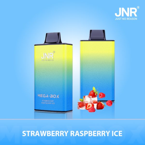Jnr Mega Box 25000 – 25000 Puffs, 850mAh Battery, 30ml E-liquid, Dual Mesh Coil, Type-C Quick Charge