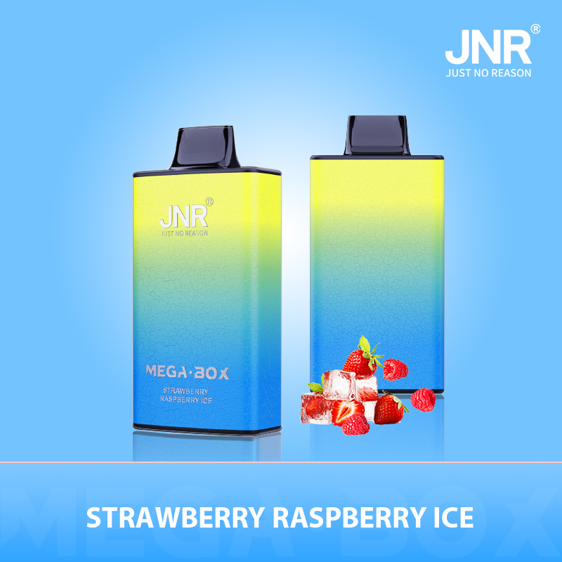 Jnr Mega Box 25000 – 25000 Puffs, 850mAh Battery, 30ml E-liquid, Dual Mesh Coil, Type-C Quick Charge