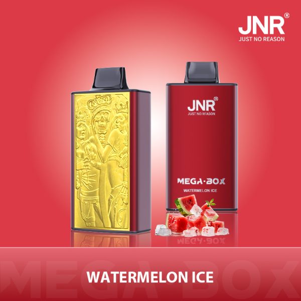 Jnr Mega Box 25000 – 25000 Puffs, 850mAh Battery, 30ml E-liquid, Dual Mesh Coil, Type-C Quick Charge - Image 3