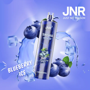 Jnr Shisha 12000 Electronic Hookah Vape | 12000 Puffs | 24ml E-Liquid | 750mAh Battery