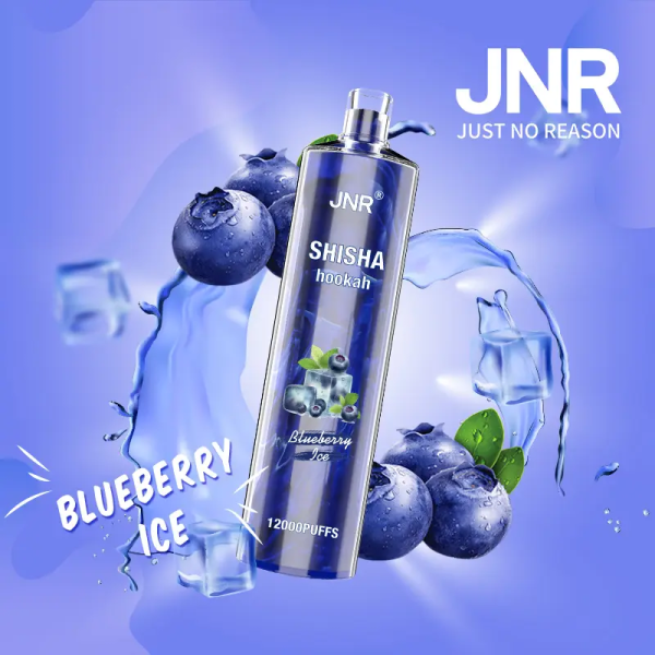 Jnr Shisha 12000 Electronic Hookah Vape | 12000 Puffs | 24ml E-Liquid | 750mAh Battery