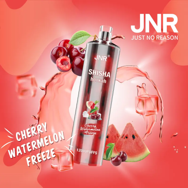 Jnr Shisha 12000 Electronic Hookah Vape | 12000 Puffs | 24ml E-Liquid | 750mAh Battery - Image 2