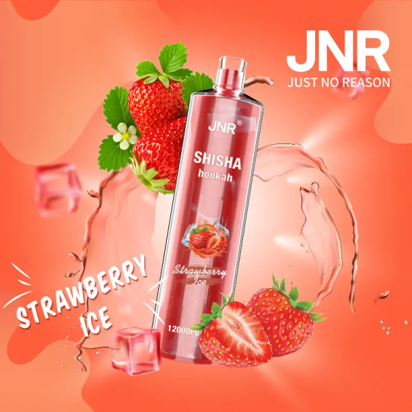 Jnr Shisha 12000 Electronic Hookah Vape | 12000 Puffs | 24ml E-Liquid | 750mAh Battery - Image 3