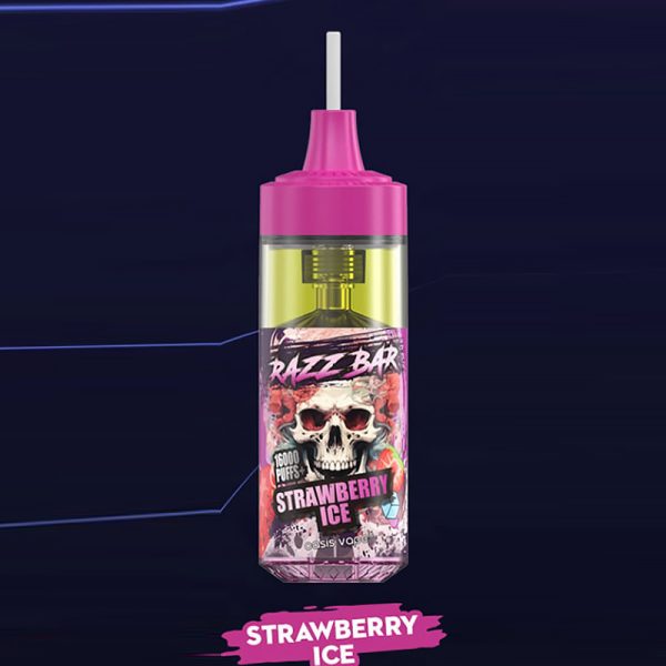 Razz Bar 16000 Disposable E-Cigarette - 16000 Puffs, 12 Flavors, 30ml, Mesh Coil, Type-C, 650mAh Rechargeable