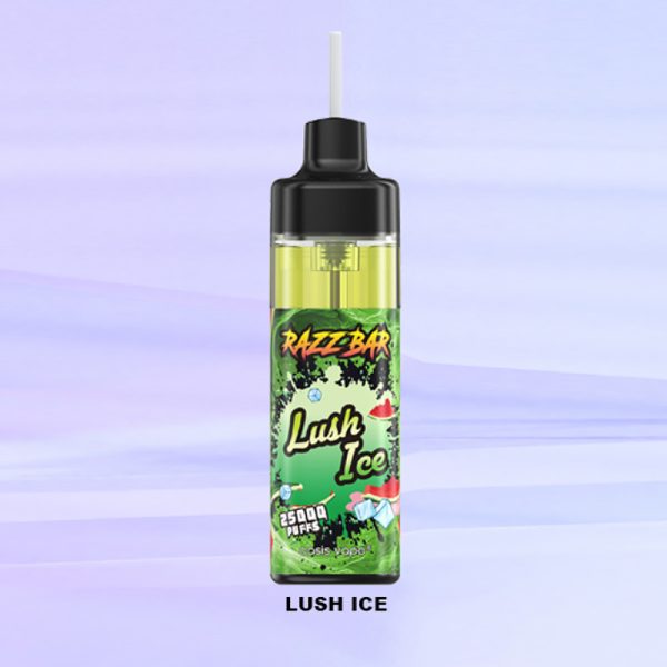 Razz Bar 25000 Puff 25K Vape - 25000 Puffs, Rechargeable, 16 Flavors - Image 5