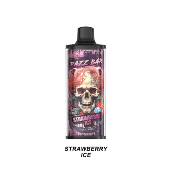 Razz Bar 30000 Puff Vape - 16 Flavors, 650mAh Rechargeable, Mesh Coil, Type-C - Image 4